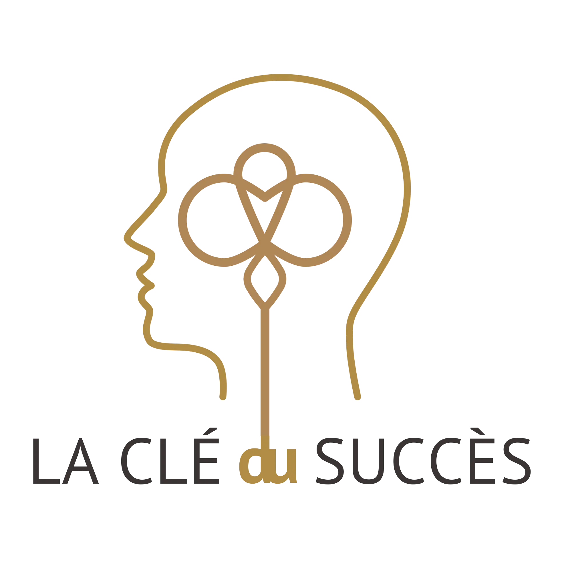 image de la boutique